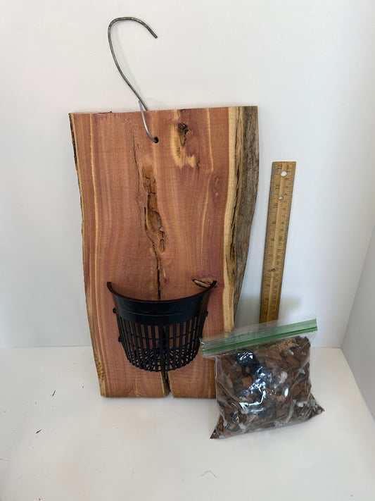 This is a hard to find outdoor Orchid mounting kit on a 15X7X1 inch hardy Red Cedar board. The cedar was obtained from a local wood Mill! This cedar is 1 inch thick and will give you years of service! 